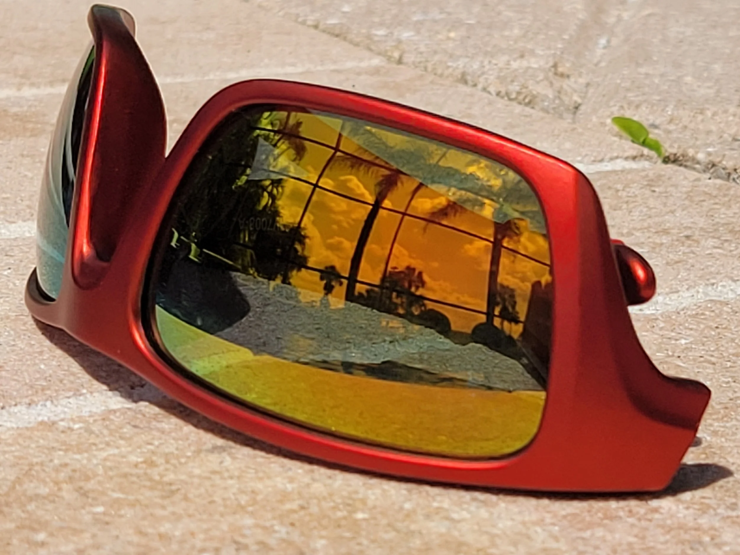 Red sunglasses reflecting palm trees